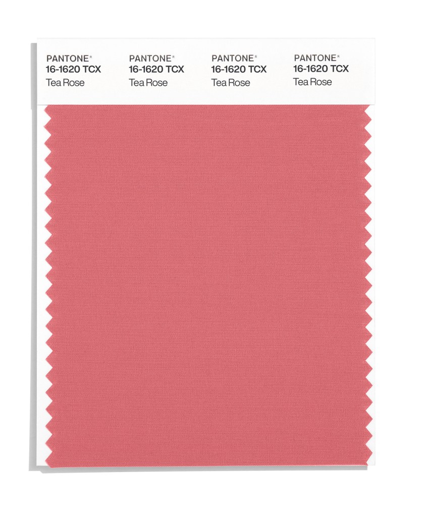 Pantone's Tea Rose 16-1620