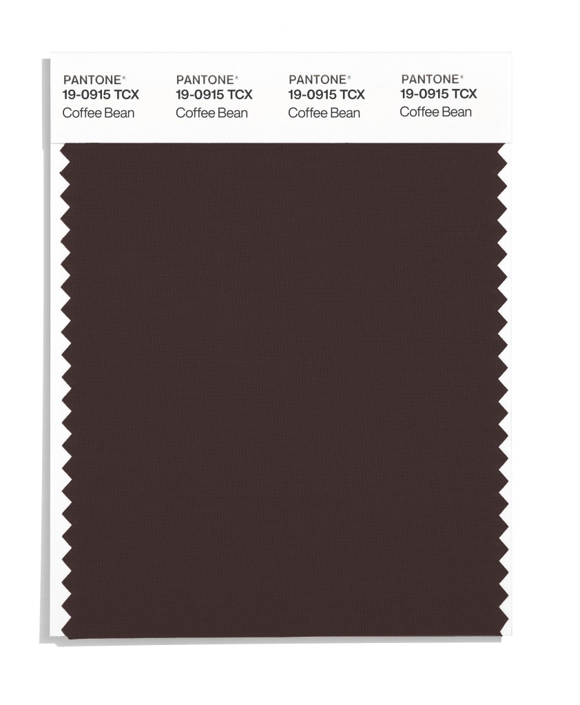 Pantone's Coffee Bean 19-0915