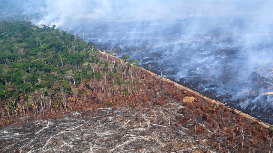 Aerial view of an area of Amazon rainforest deforested by illegal fire in the municipality of Labrea, Amazonas State, Brazil, taken on August 20, 2024. . Residents of Porto Velho in the Brazilian Amazon have barely seen sunlight in days as a thick cloud of smoke from forest fires envelops their city. (Photo by EVARISTO SA / AFP)