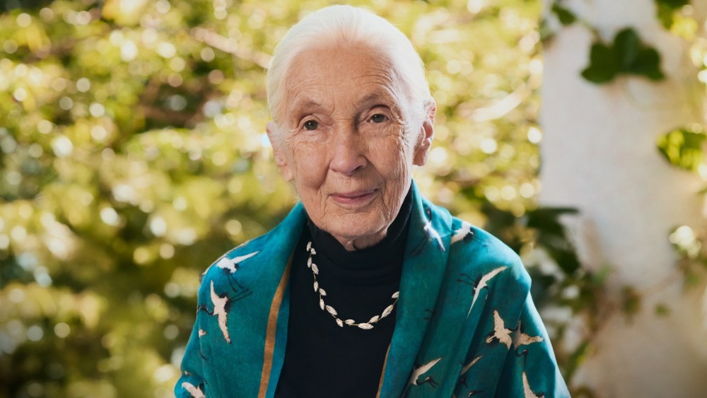 Jane Goodall wears jewelry from her second Brilliant Earth collaboration.