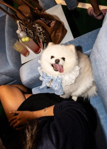 The scene at the Miu Miu SELECT party