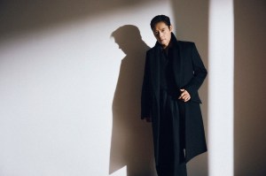 Vellus Aureum Coat and Oasi Cashmere V-neck top,
vellus aureum polo shirt, Mélange Wool Pants All ZEGNA