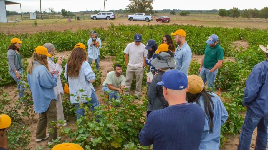 Mariano Alvarez, Avalo co-founder, gives a tour of one of the company's test fields in Clarendon, Texas.
