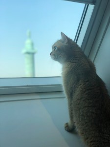 "View of Place Vendôme from Boucheron creative studio with my cat, Igor. I love watching him observe its life and its passers-by…"