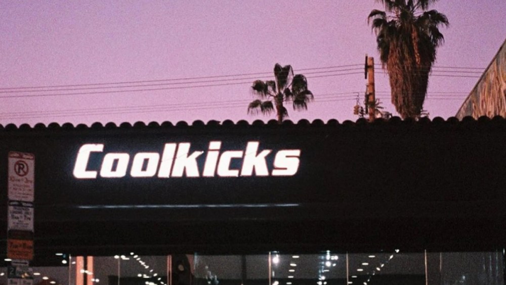 CoolKicks Stolen Nike Sneaker Arrest