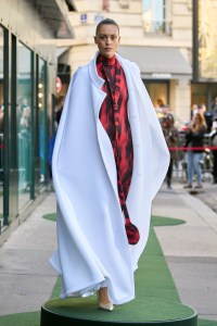 Pierre Cardin Spring 2026 Ready-to-Wear Collection