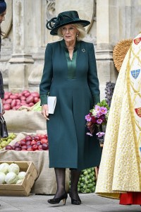 LONDON, ENGLAND - OCTOBER 16: Queen Camilla attends The National Harvest Festival Service at Westminster Abbey on October 16, 2025 in London, England. (Photo by Ben Montgomery/Getty Images)