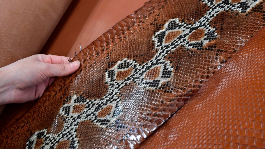 An employee displays a snake skin at "La Manufacture", luxury leather goods Celine's new factory in Radda in Chianti, south of Florence, Tuscany, on October 17, 2019 on its inauguration day. - Upscale brand of French luxury group LVMH, leather goods manufacturer Celine opened a second workshop in Italy's Tuscany region to increase production while controlling the entire manufacturing process. "La Manufacture", which was inaugurated on October 17 in Radda in Chianti in the presence of senior leaders of the group, has been in operation since the end of August, and is Celine's second production site in Italy, the other having opened in 1979 in Strada in Chianti, some thirty kilometers away.