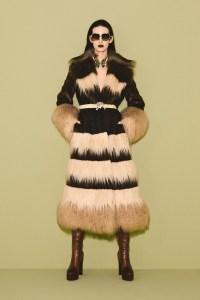Roberto Cavalli Pre-Fall 2026 Collection