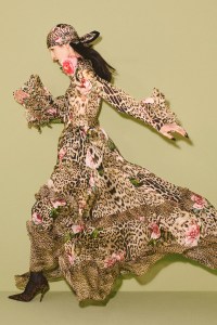 Roberto Cavalli Pre-Fall 2026 Collection