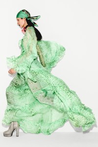 Roberto Cavalli Pre-Fall 2026 Collection