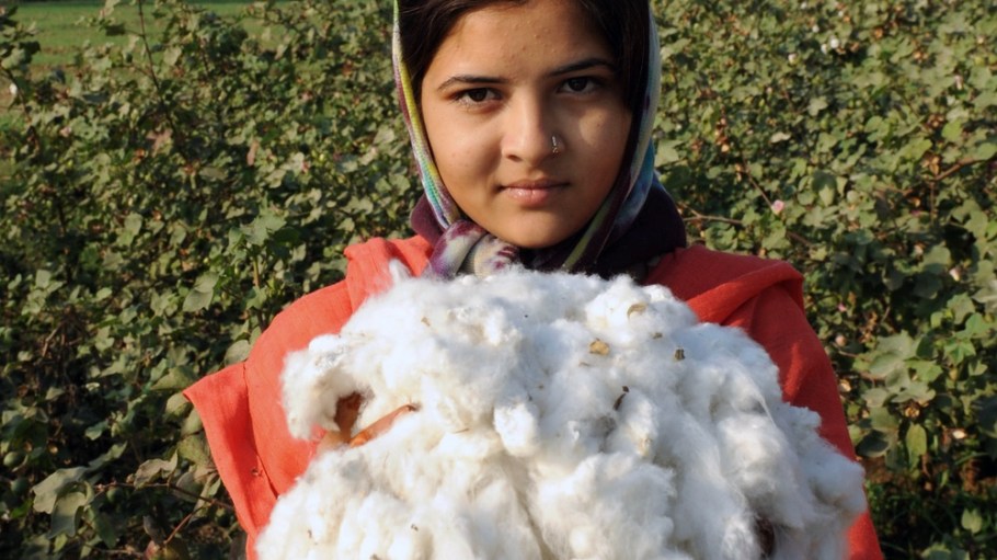 India cotton