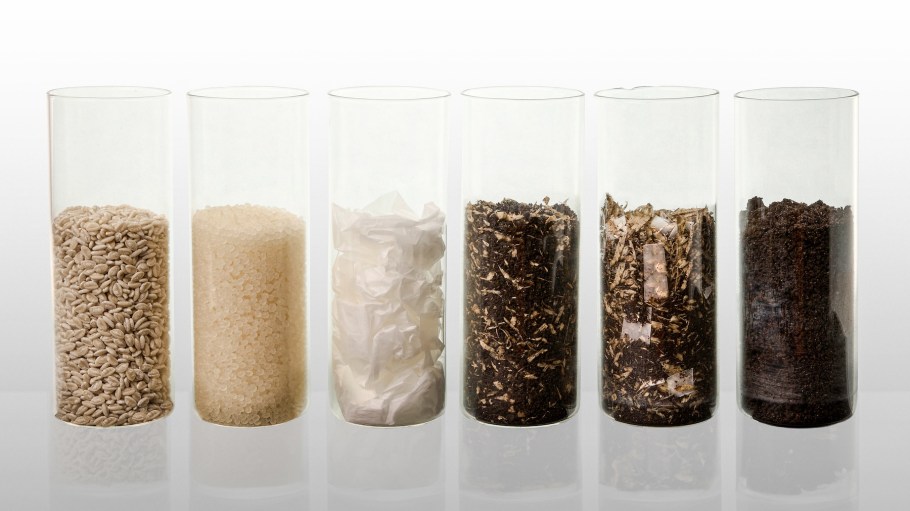 PLA Biodegration - full process - beaker