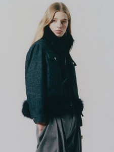 A preview look at the Dior Pre-Fall 2026 collection