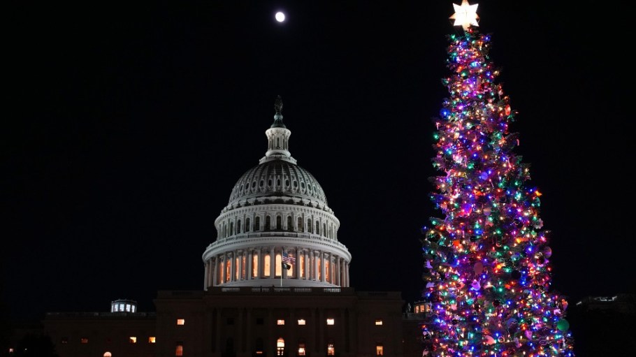 The Capitol Building in Washington, D.C.