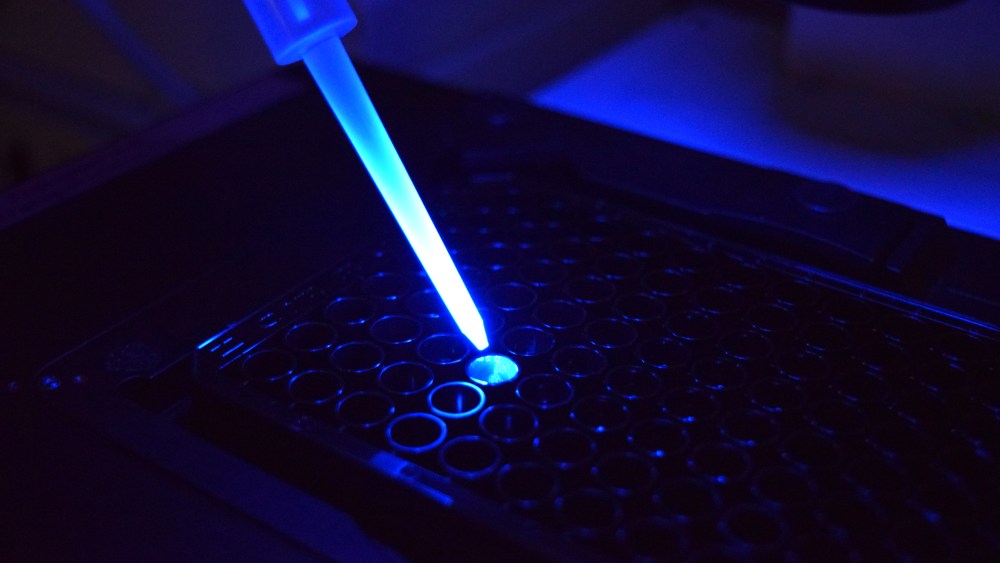 Mane Group has acquired ChemoSensoryx Biosciences.
