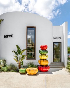 Loewe: Most Liked on Social Media