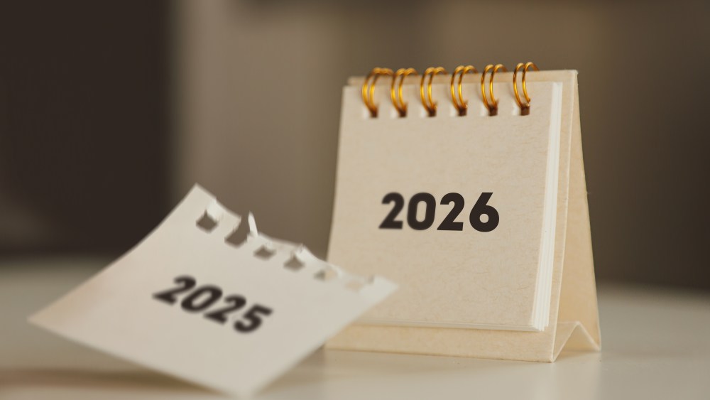 What can be learned from 2025 beauty company earnings?