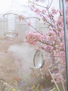 A look at Dior’s newest concept store in Tokyo, Japan, dubbed the Dior Bamboo Pavilion.