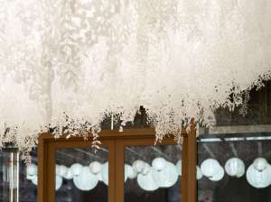 A look at Dior’s newest concept store in Tokyo, Japan, dubbed the Dior Bamboo Pavilion.