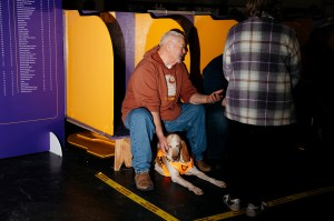 Westminster Dog Show 2026