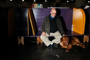 Westminster Dog Show 2026
