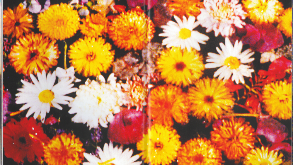 A picture from Jamie Reid's "Eight Fold Year" book.