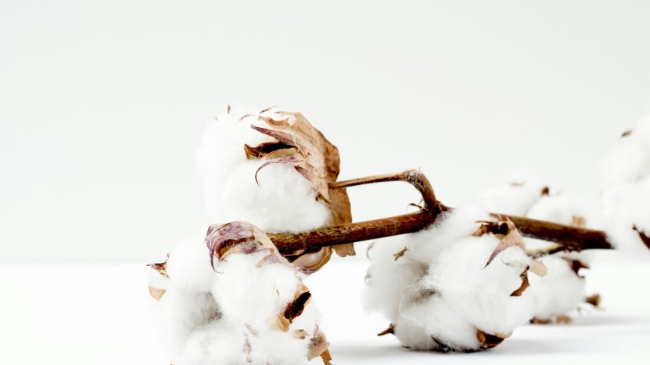 “Global Recycling Day arrives on March 18,” A.M. Custom Clothing said—and “right at a time when the fashion industry finds itself under a brighter spotlight than ever.”