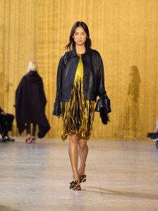 Akris Fall 2026 Ready-to-Wear Collection at Paris Fashion Week