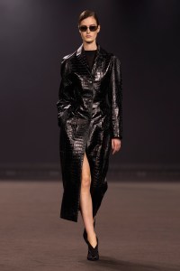 Elie Saab Fall 2026 Ready-to-Wear Collection at Paris Fashion Week