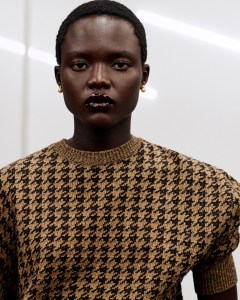 Phoebe Philo Collection E Fall 2026 Ready-to-Wear Collection