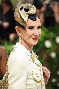 NEW YORK, NEW YORK - MAY 06: Amy Fine Collins attends The 2024 Met Gala Celebrating "Sleeping Beauties: Reawakening Fashion" at The Metropolitan Museum of Art on May 06, 2024 in New York City. (Photo by Aliah Anderson/Getty Images)