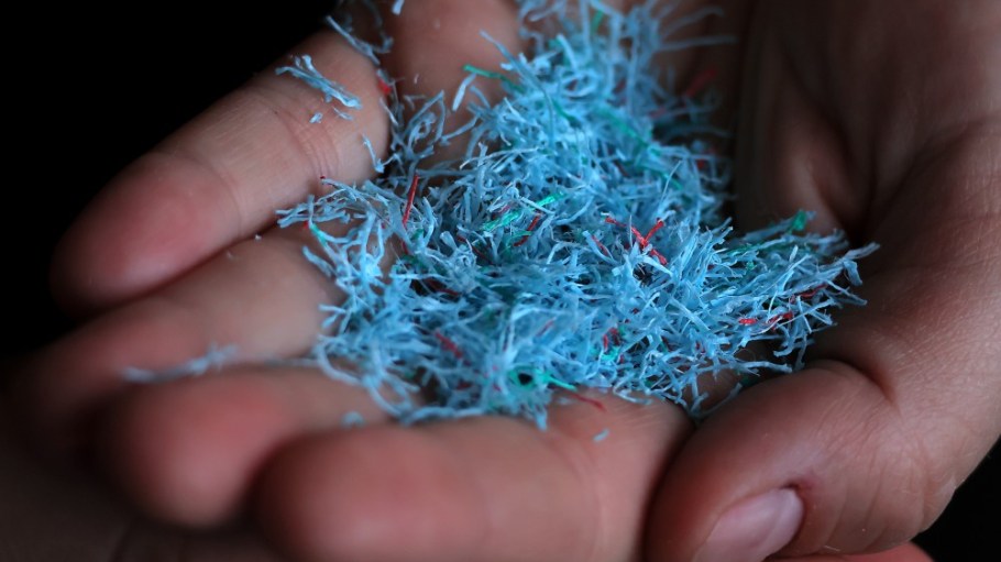 Shredded microplastic fibers.