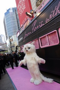 Choupette