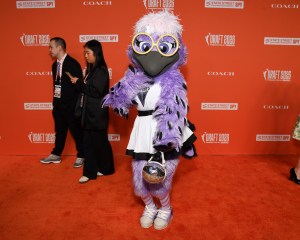 Violet the Raven of the Golden State Valkyries